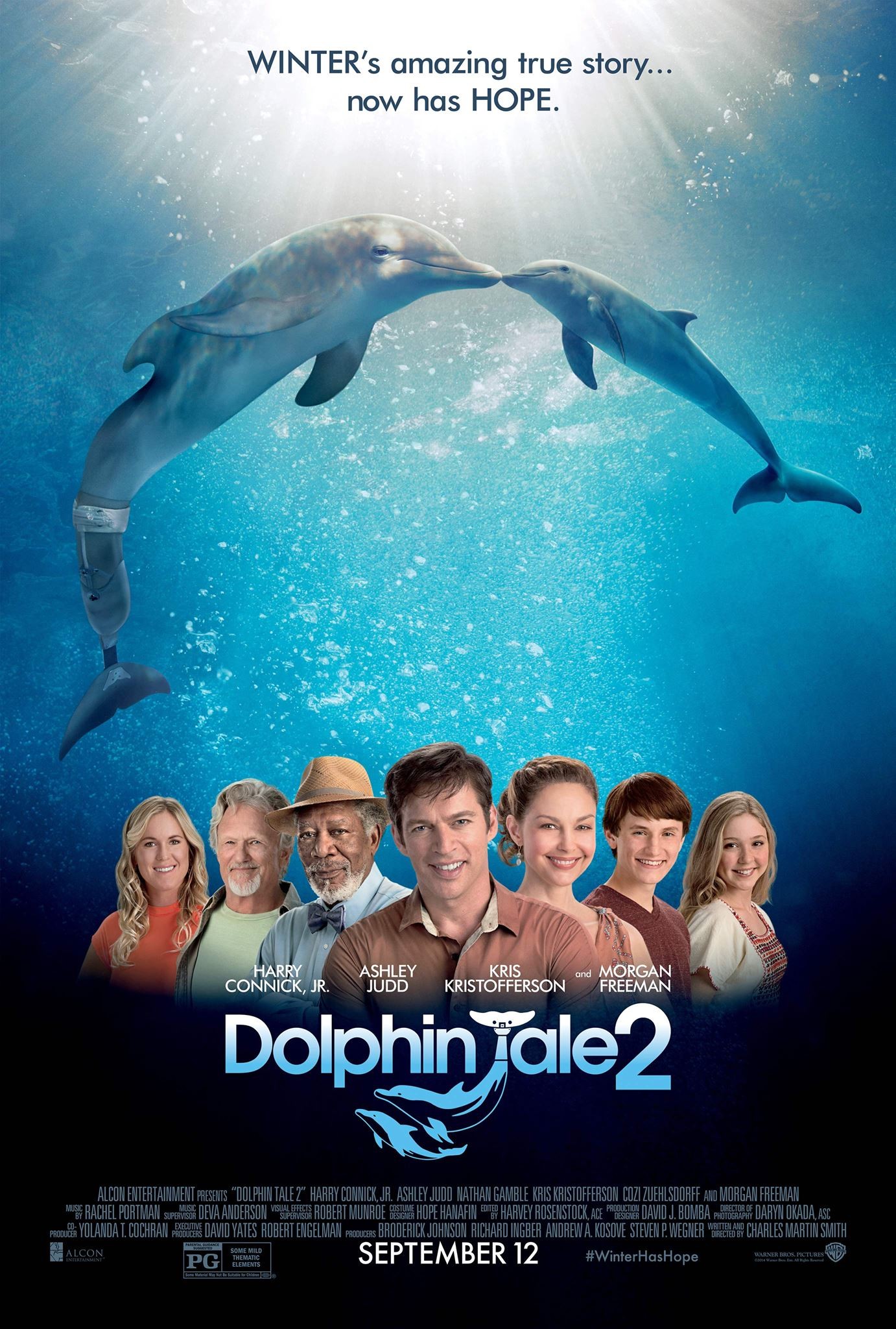 دانلود فیلم داستان دلفین ۲ Dolphin Tale 2 2014