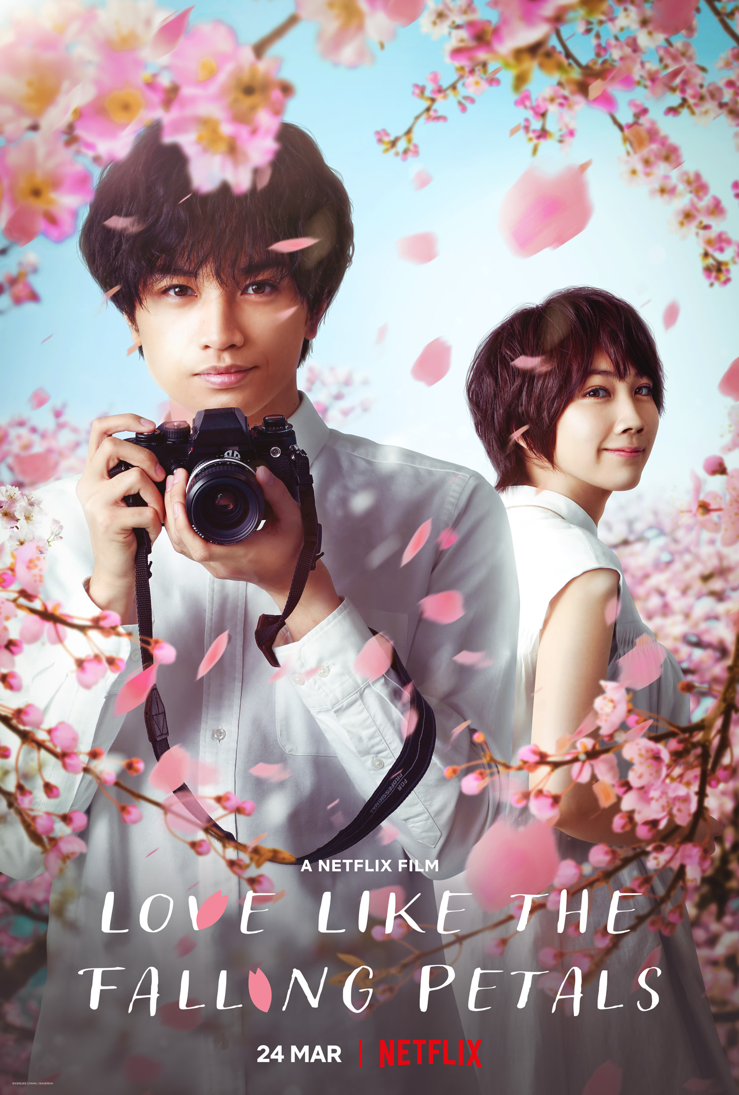 دانلود فیلم عشقی مثل گلبرگ های در حال ریزش Love Like the Falling Petals 2022