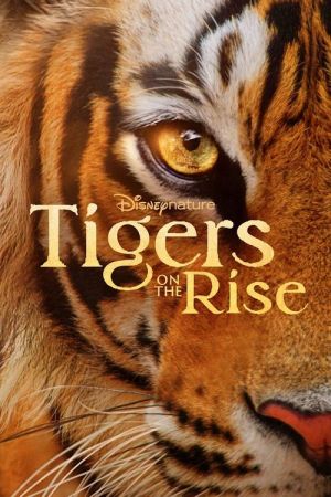 دانلود فیلم ببرهای در حال ظهور Tigers on the Rise 2024