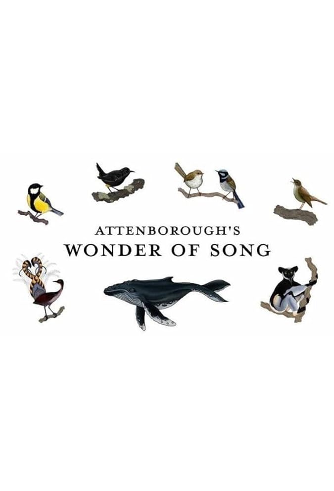 دانلود مستند شگفتی آواز اتنبرو Attenborough’s Wonder of Song 2022