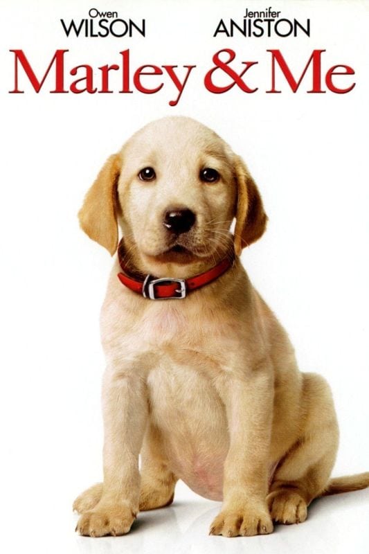 دانلود فیلم مارلی و من Marley and Me 2008