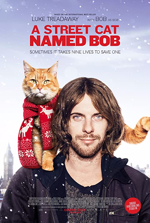 دانلود فیلم گربه خیابانی به نام باب A Street Cat Named Bob 2016 دوبله فارسی