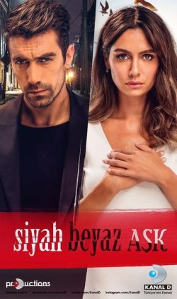 دانلود سریال عشق سیاه و سفید Black and White Love 2017