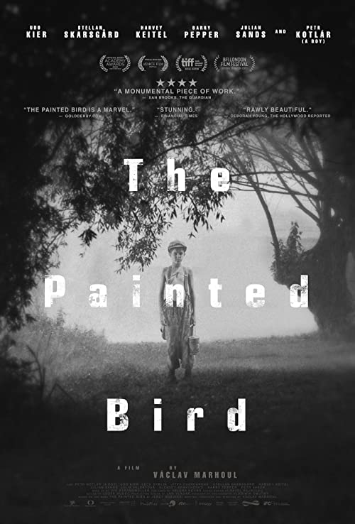 دانلود فیلم پرنده رنگین The Painted Bird 2019 دوبله فارسی