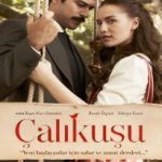 دانلود سریال چکاوک Calikusu 2013